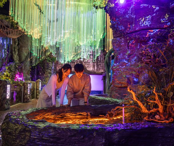 activity_detail_image