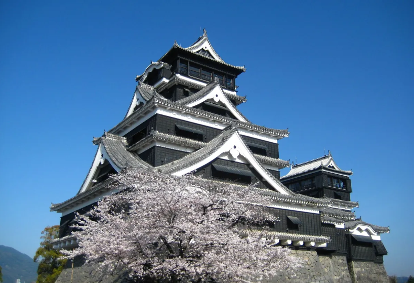 Kumamoto Highlights Half-Day Tour