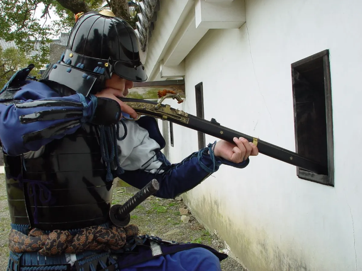 Kumamoto Highlights Half-Day Tour