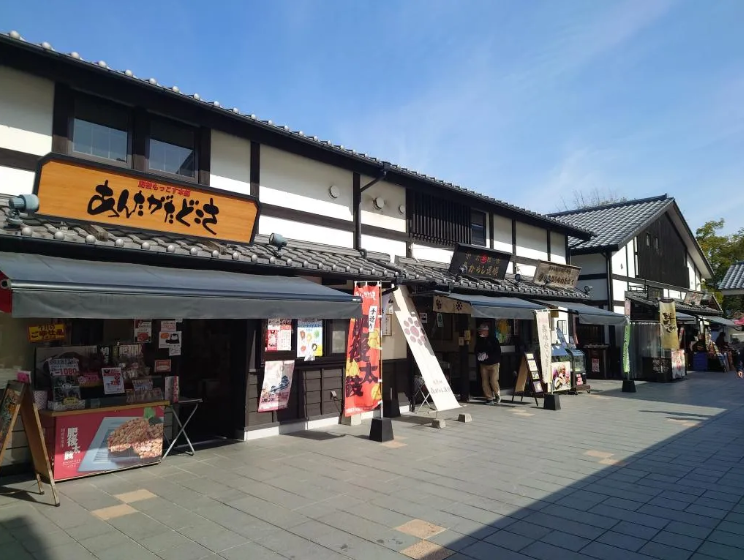 Kumamoto Highlights Half-Day Tour