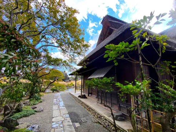 activity_detail_image