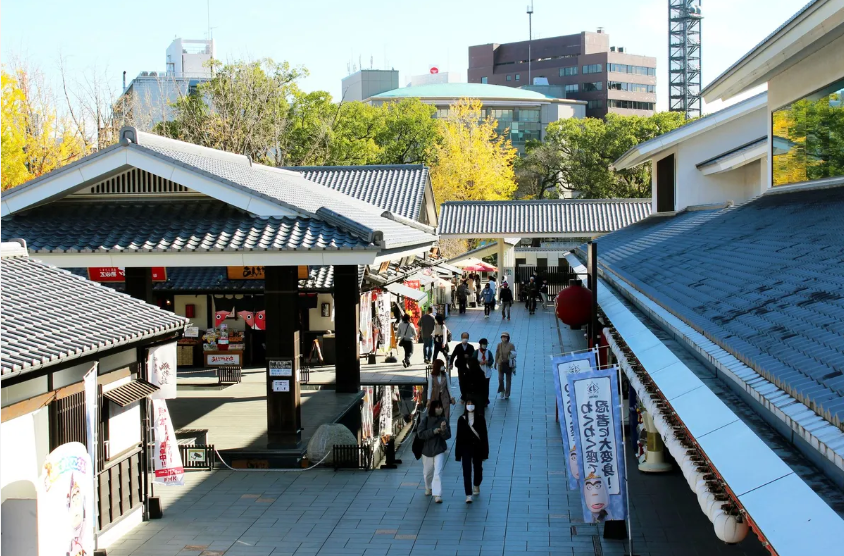 Kumamoto Castle & Mount Aso Private Day Tour
