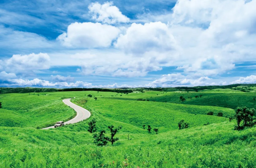 activity_detail_image