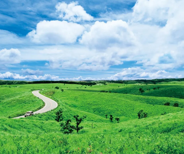 activity_detail_image