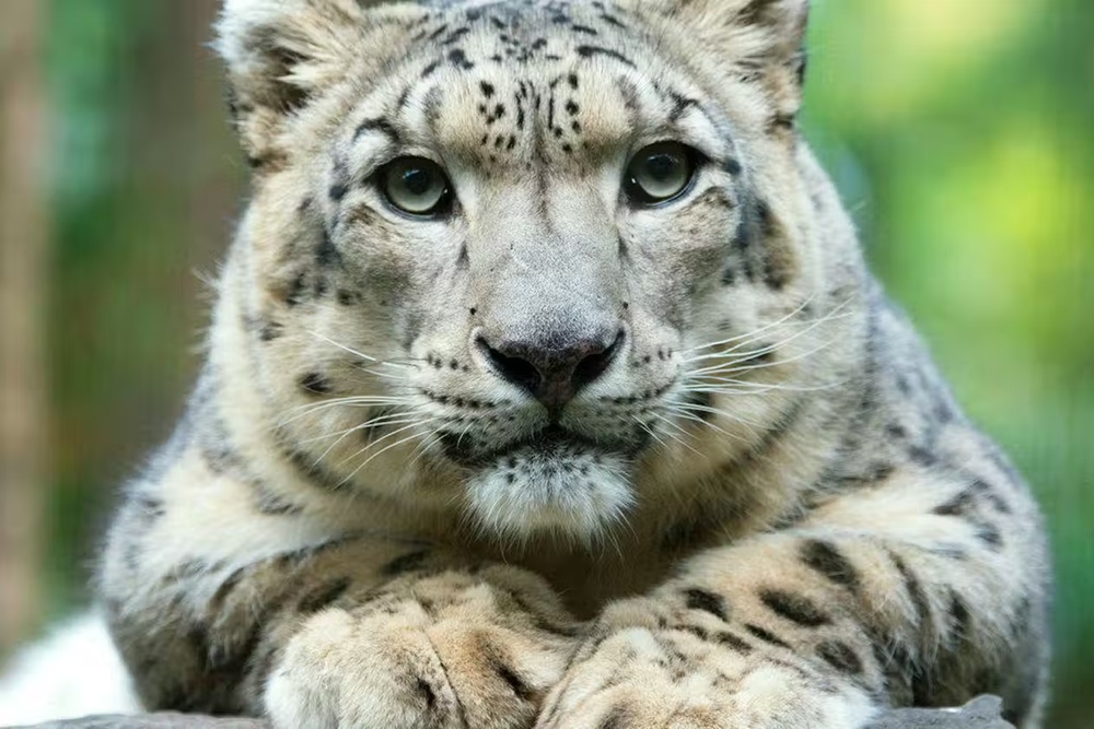 activity_detail_image