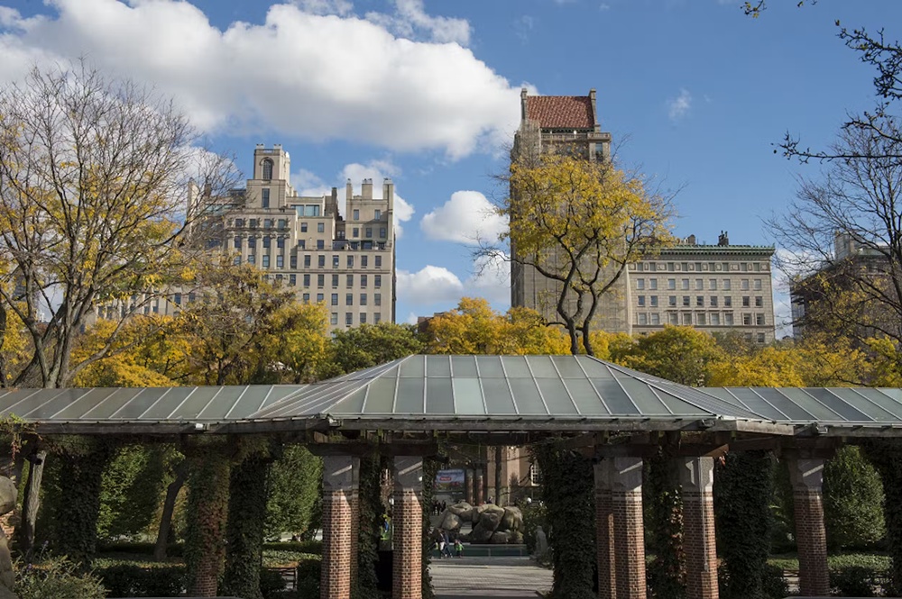 activity_detail_image