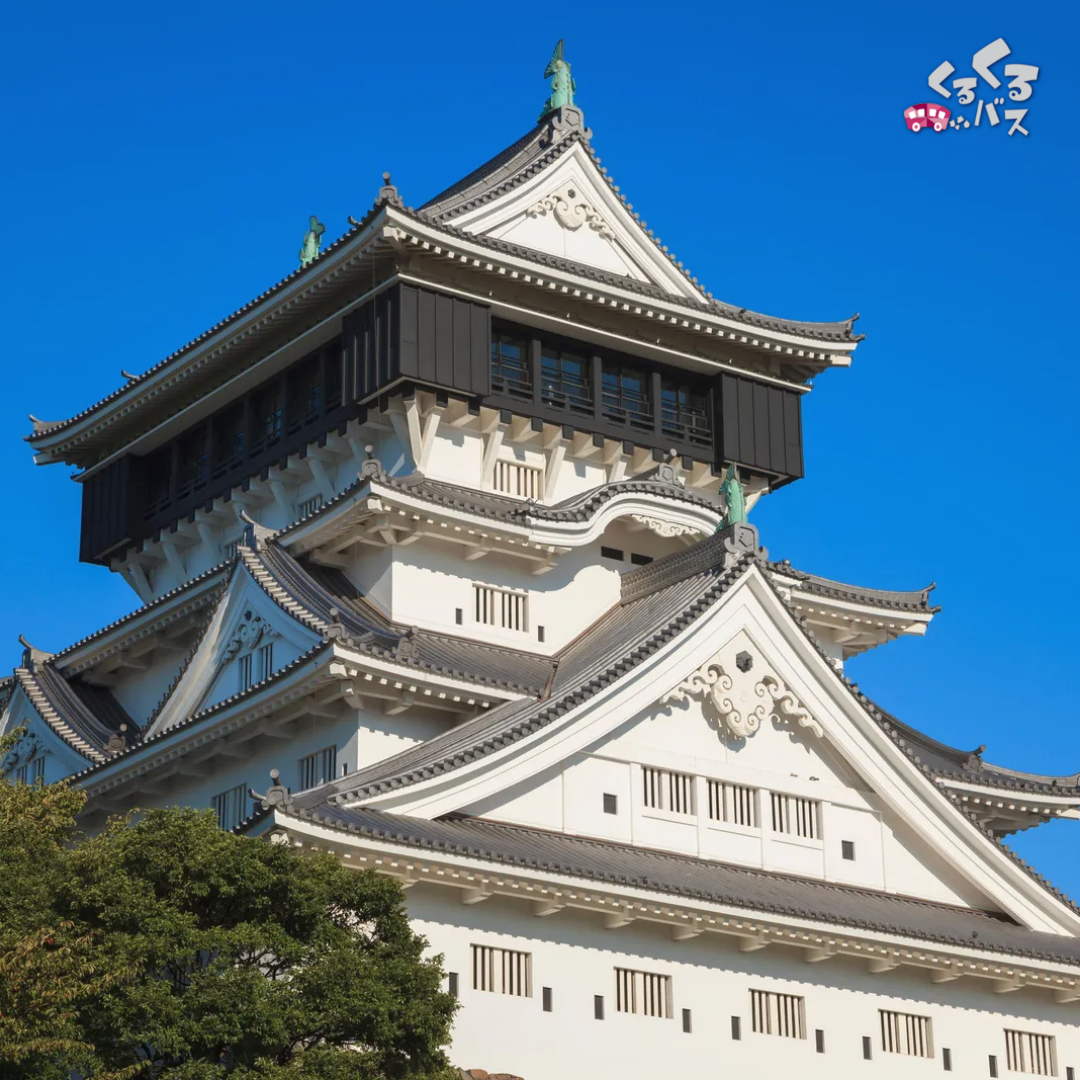 activity_detail_image