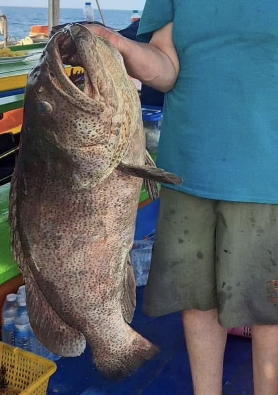파타야 베테랑 선장과 함께하는 바다낚시 투어 (조인/단독 선택)