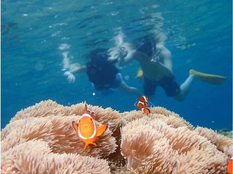 activity_detail_image