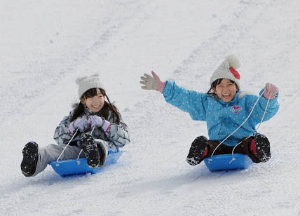 나고야역 출발: 다카야마 히다노사토 합장촌 라이트업 & 보카노사토 눈놀이 일일 투어