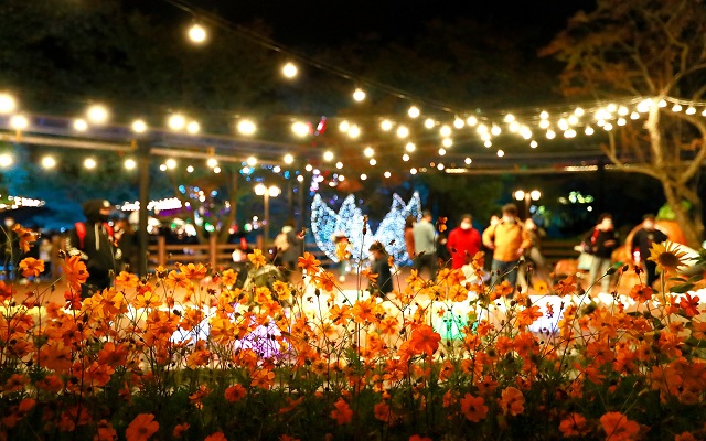 activity_detail_image