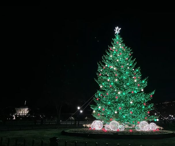 activity_detail_image