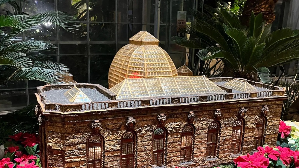 activity_detail_image