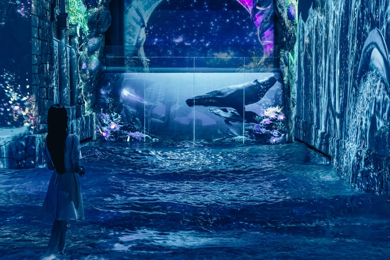 activity_detail_image