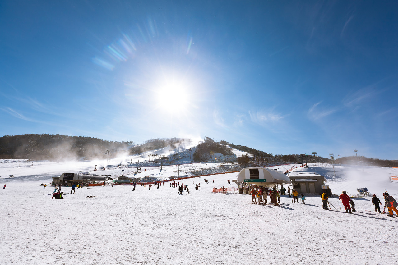 [얼리버드] 강원 평창 알펜시아리조트 스키 리프트권 & 장비렌탈권