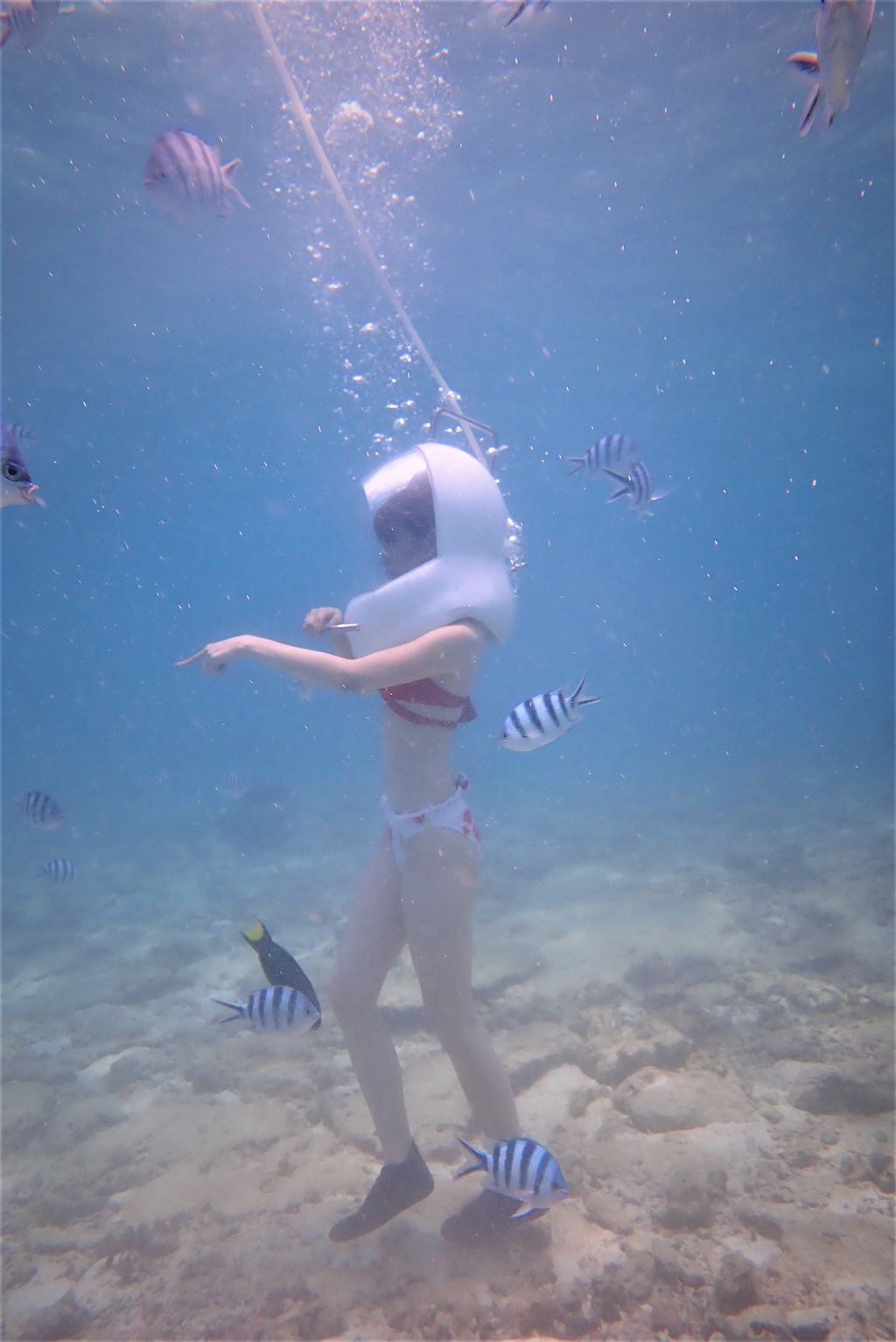 activity_detail_image