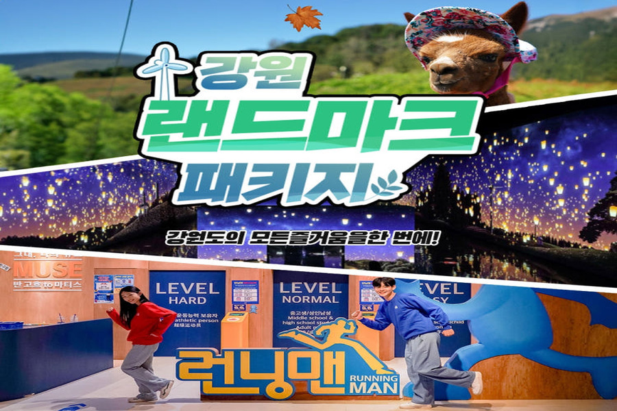 강원 랜드마크 패키지