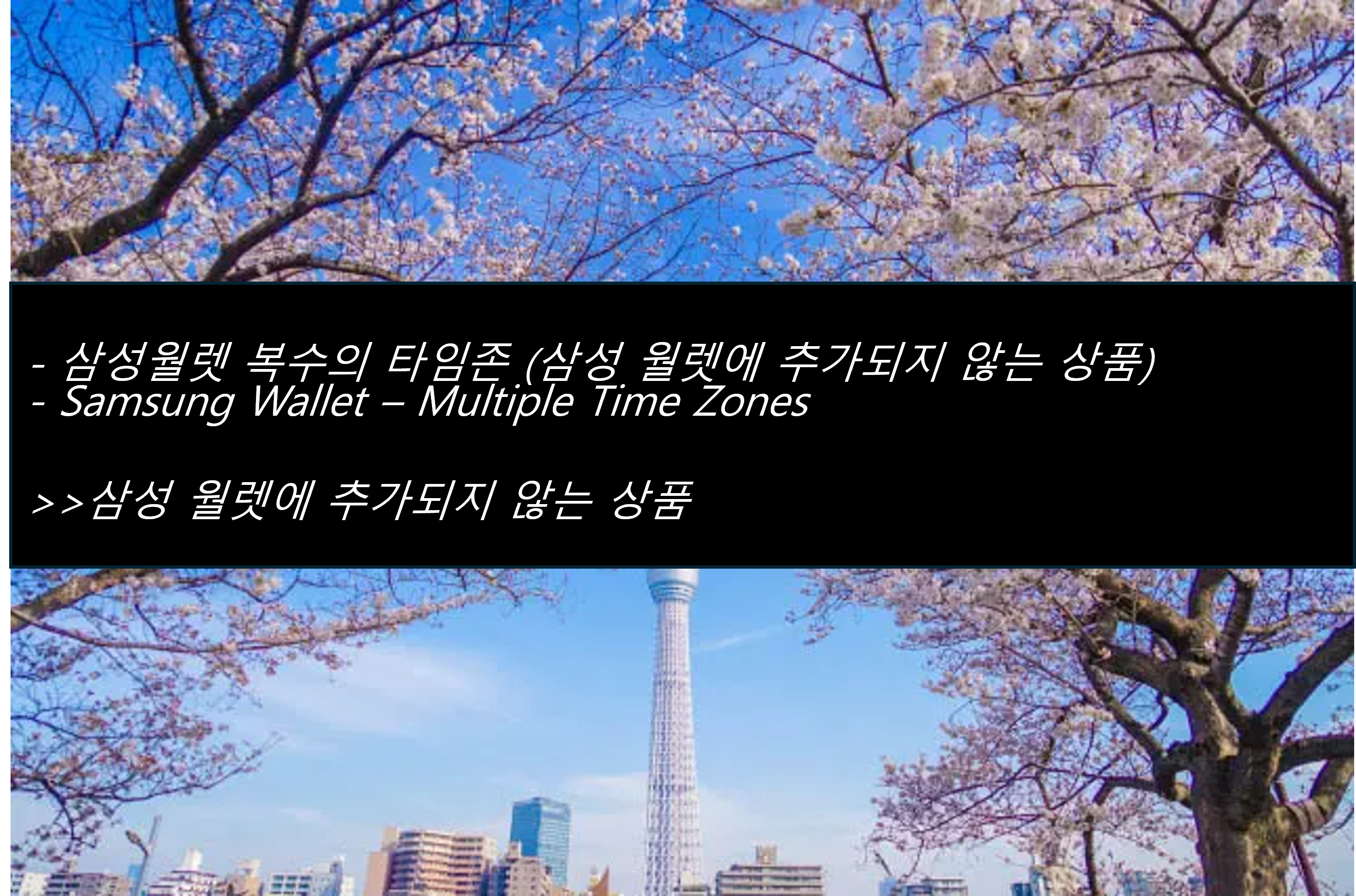 삼성월렛 복수의 타임존