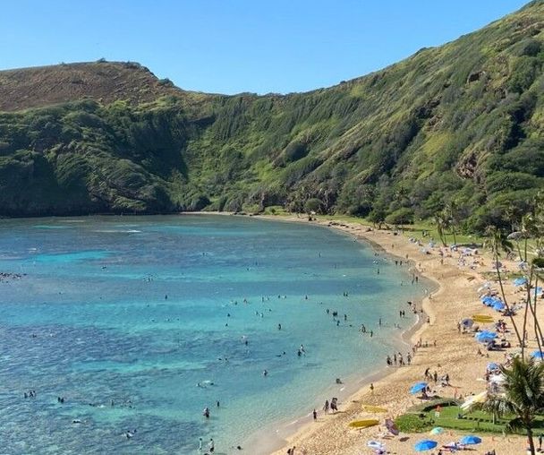 activity_detail_image