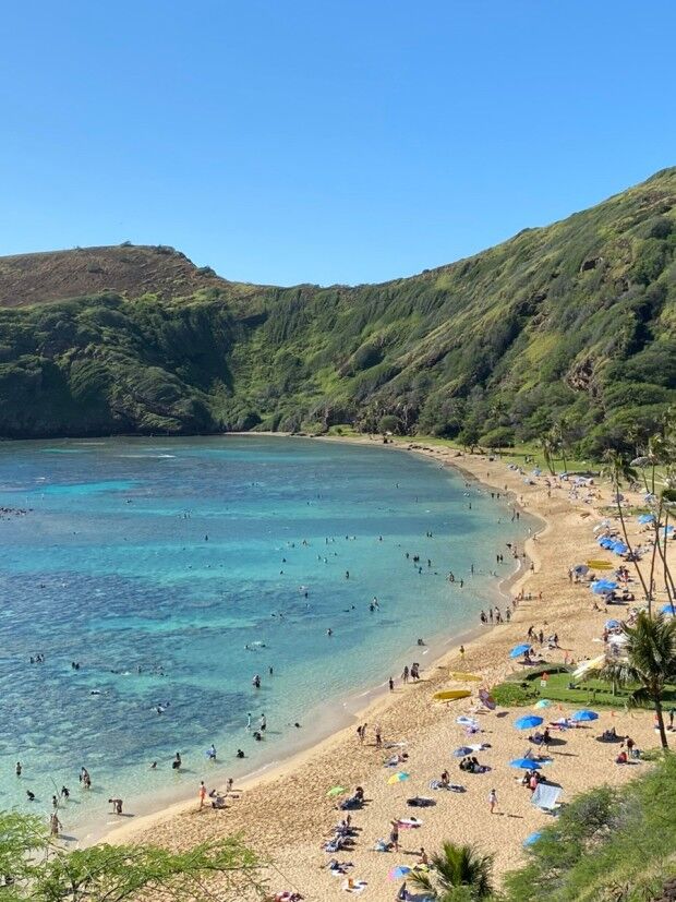 하와이 거북이 스노클링 & 하나우마베이 스노클링 예약 대행 - 스노클링 장비 렌탈 포함