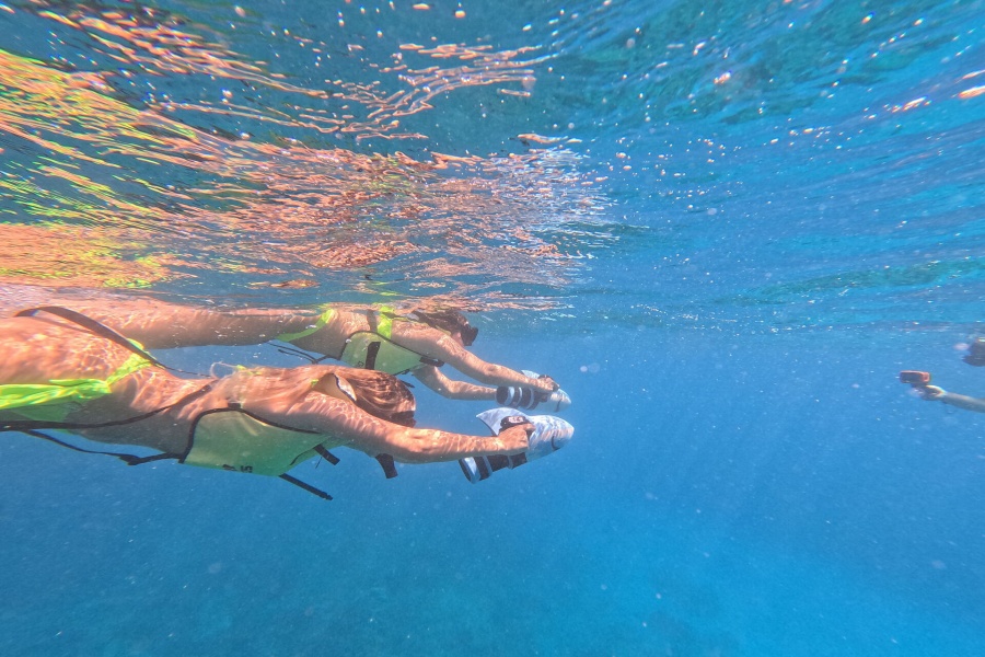 하와이 거북이 스노클링 & 하나우마베이 스노클링 예약 대행 - 스노클링 장비 렌탈 포함