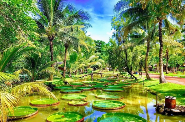 Ho Chi Minh Dragon Floating Temple & Binh Quoi Village Luxury Speedboat Tour