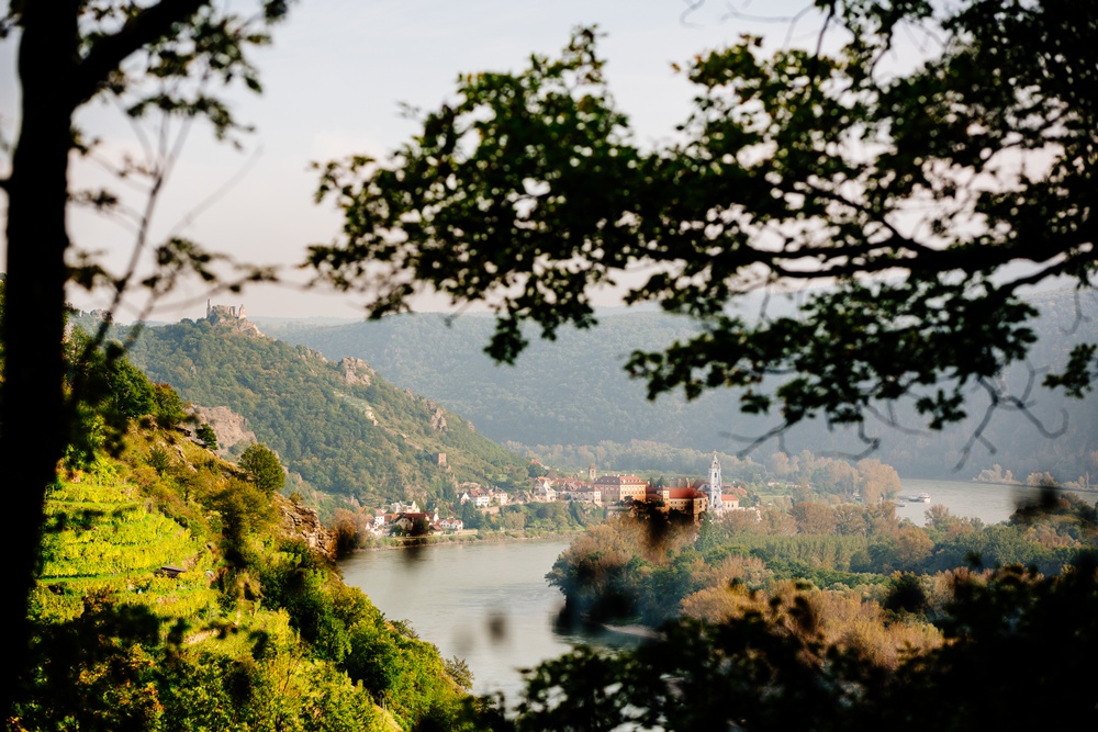 비엔나 출발: 바하우 계곡 일일 투어