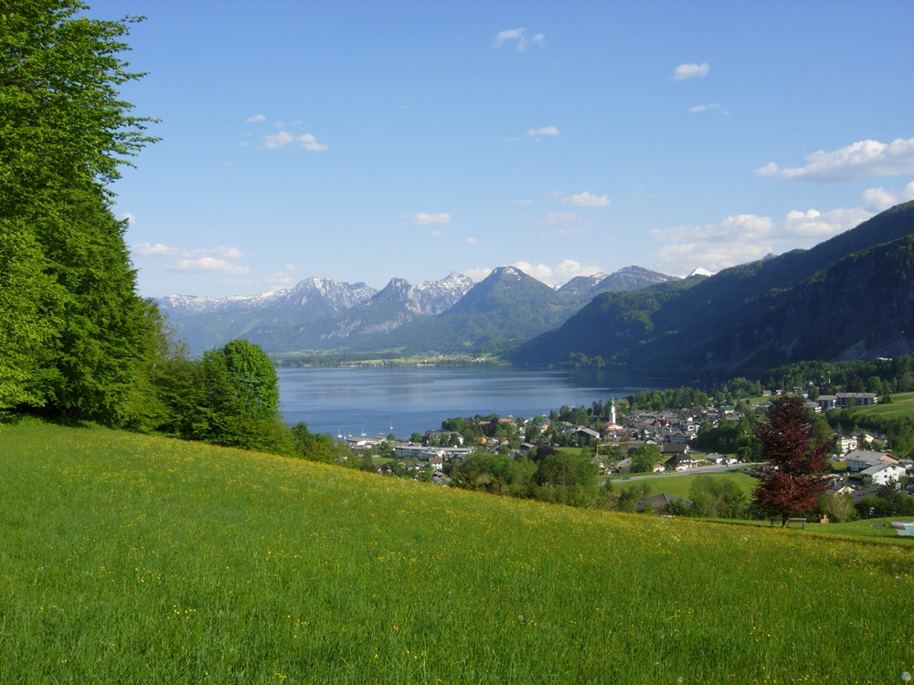 activity_detail_image