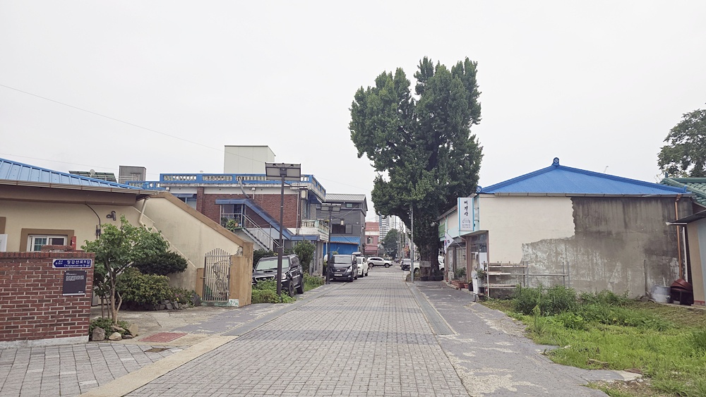 activity_detail_image