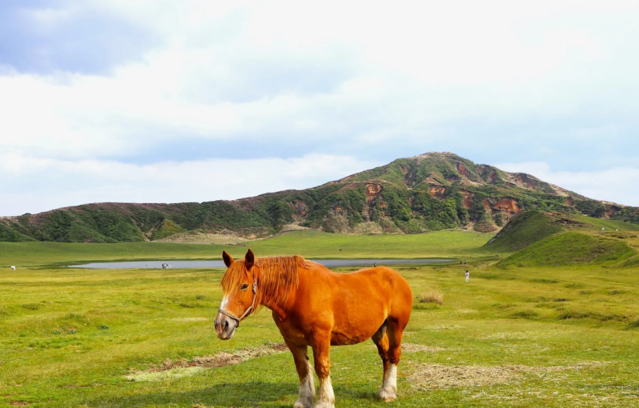 Aso & Takachiho Scenic Day Tour from Kumamoto