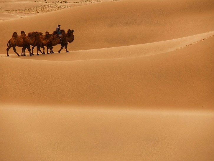 [노니투어] 몽골 미니 고비 사막 투어 : 모래언덕, 낙타 타기, 호수 관광을 한 번에!
