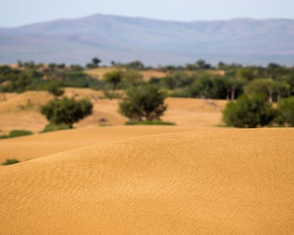 [노니투어] 몽골 미니 고비 사막 투어 : 모래언덕, 낙타 타기, 호수 관광을 한 번에!