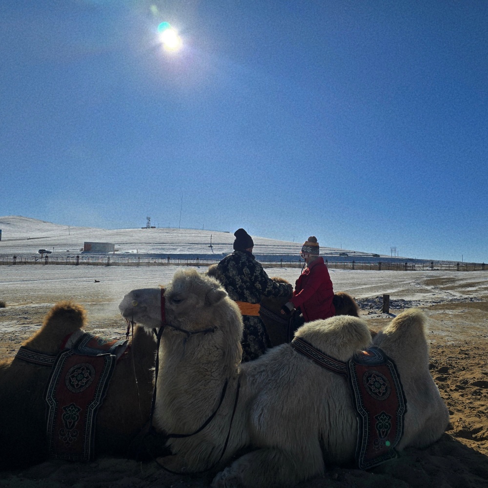 activity_detail_image