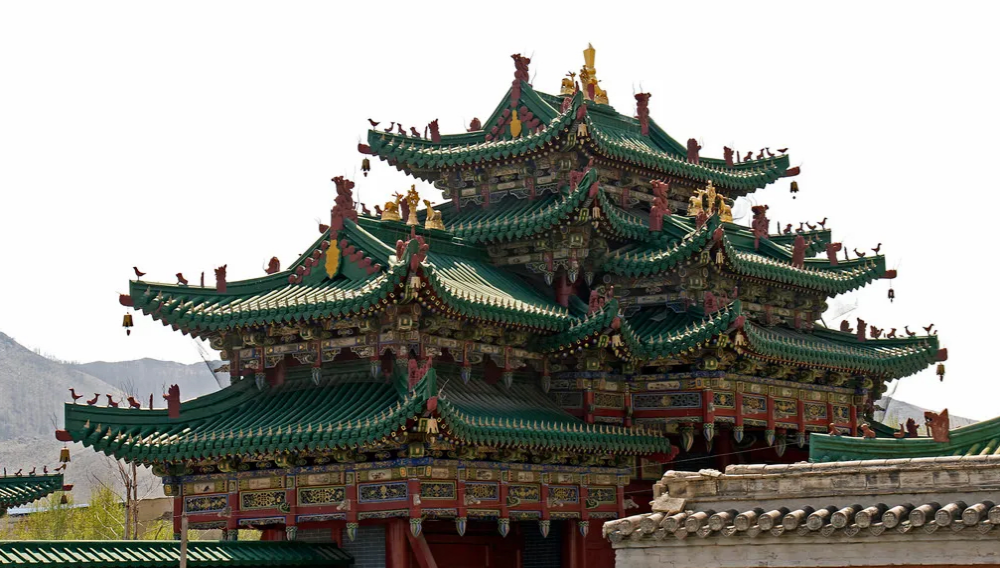 activity_detail_image