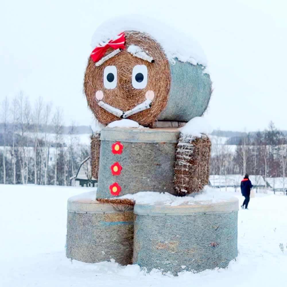 activity_detail_image