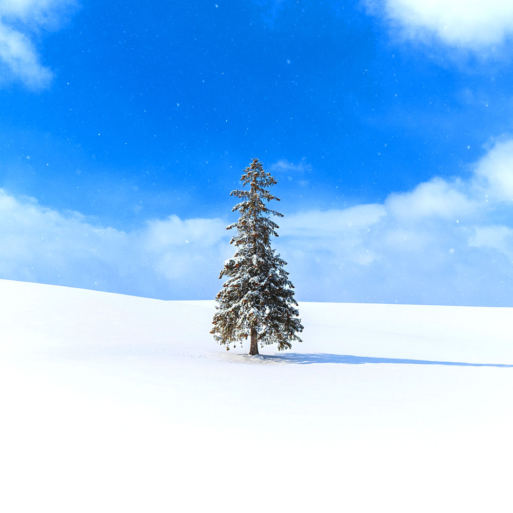 activity_detail_image