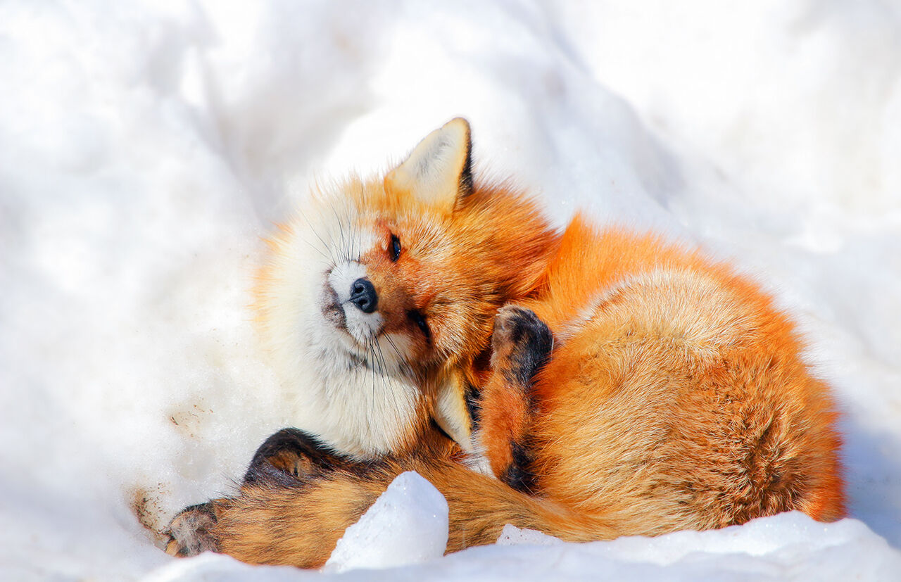 activity_detail_image