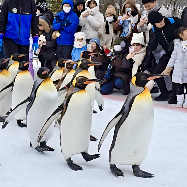 activity_detail_image