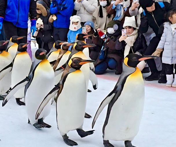 activity_detail_image