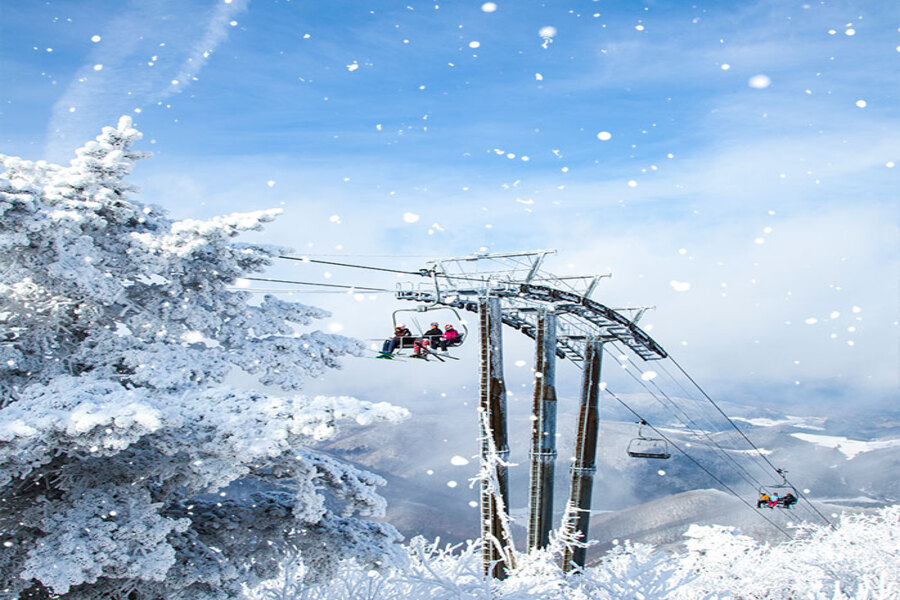 activity_detail_image