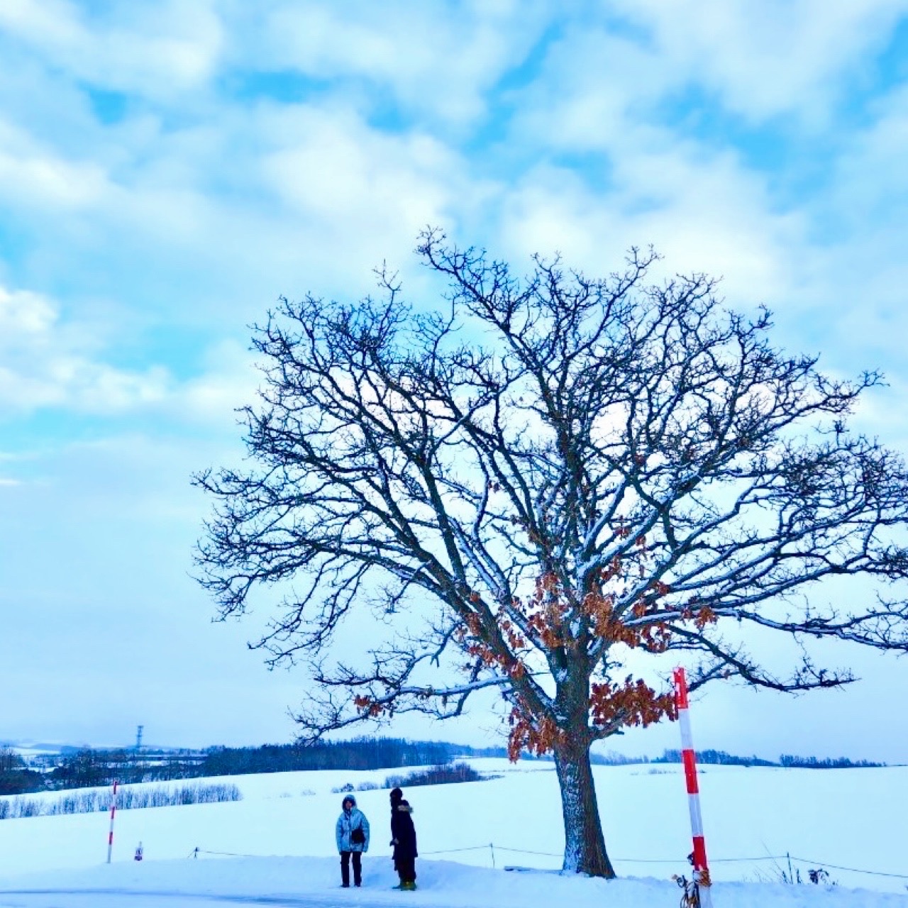 activity_detail_image