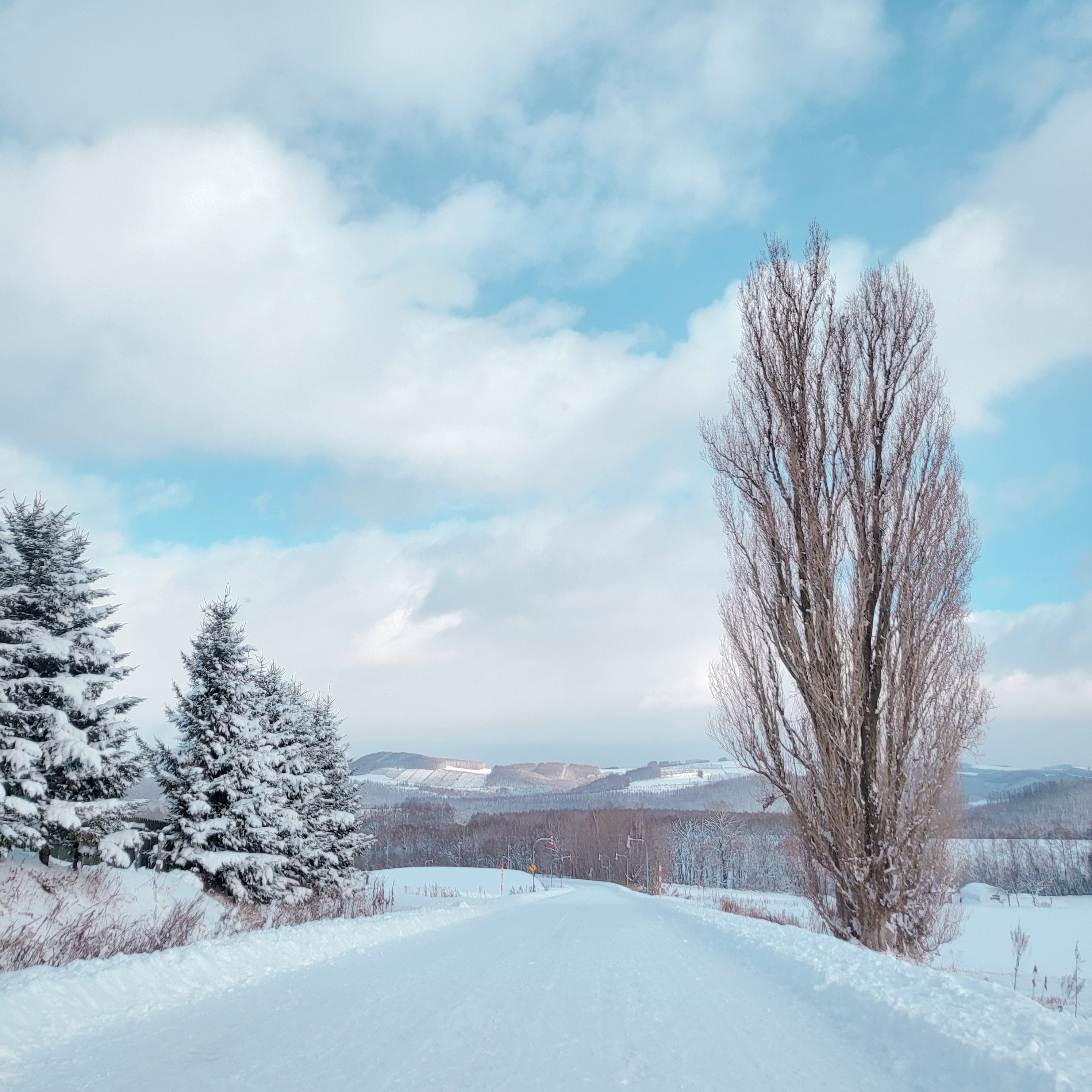 activity_detail_image