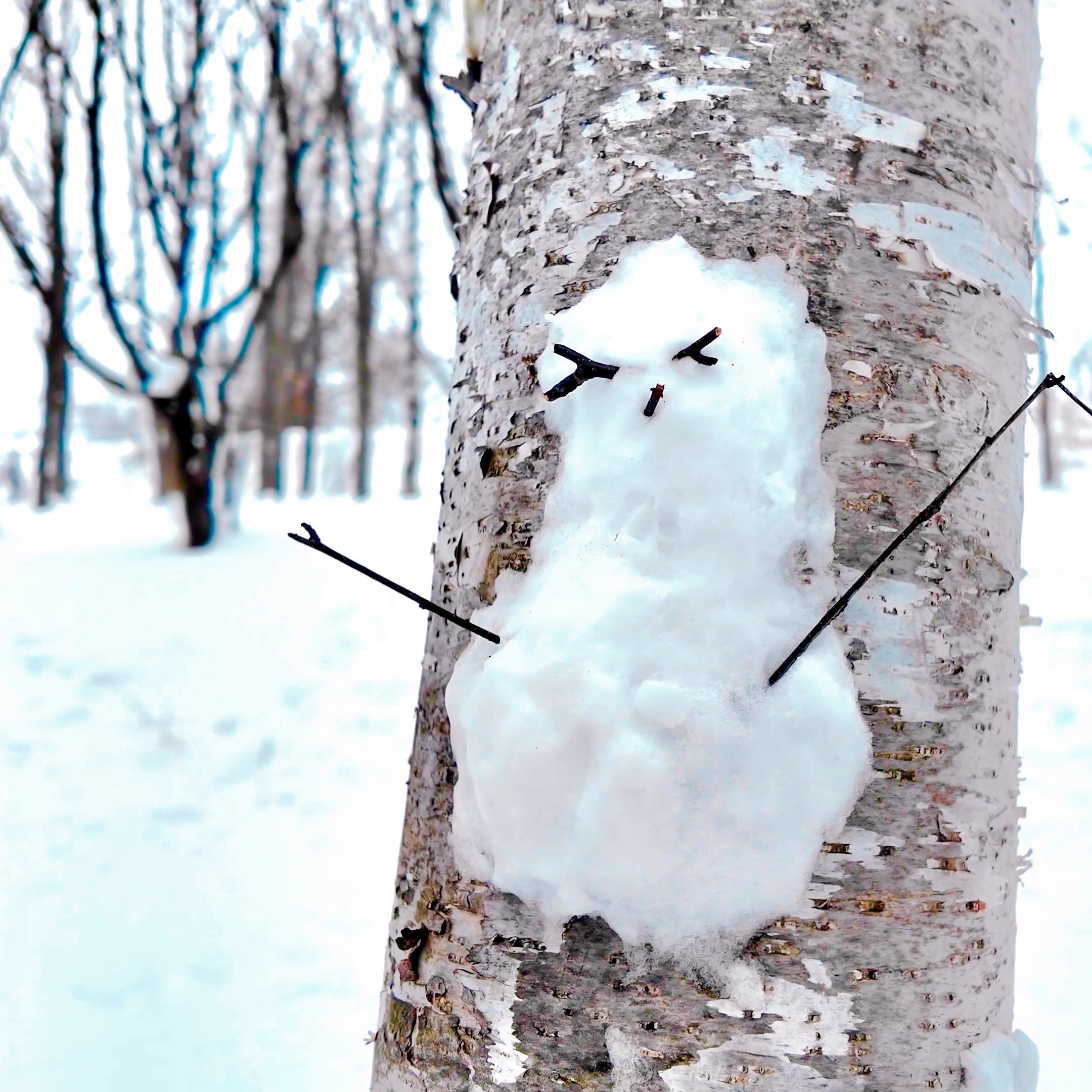 [마이재팬홋카이도] 홋카이도 비에이 & 후라노 프라이빗 일일 투어