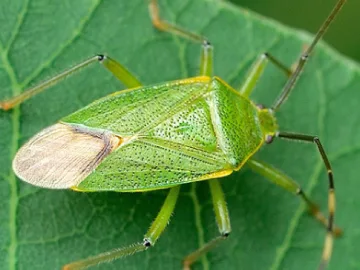 activity_detail_image