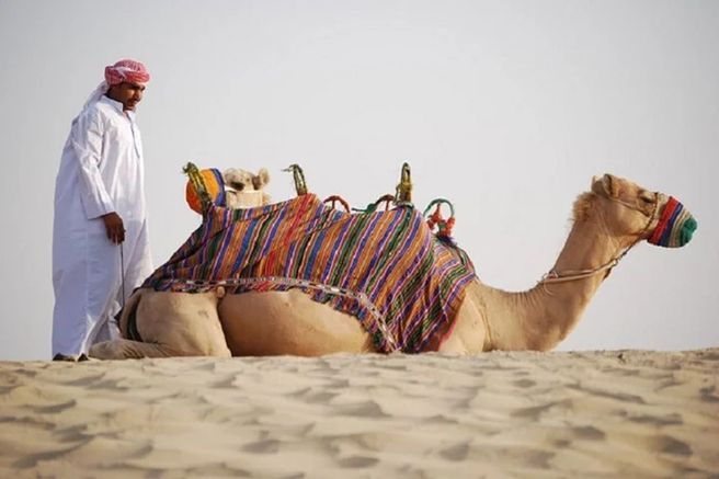 Dubai Desert Safari Tour: Sandboarding, Dune Bashing & BBQ Dinner