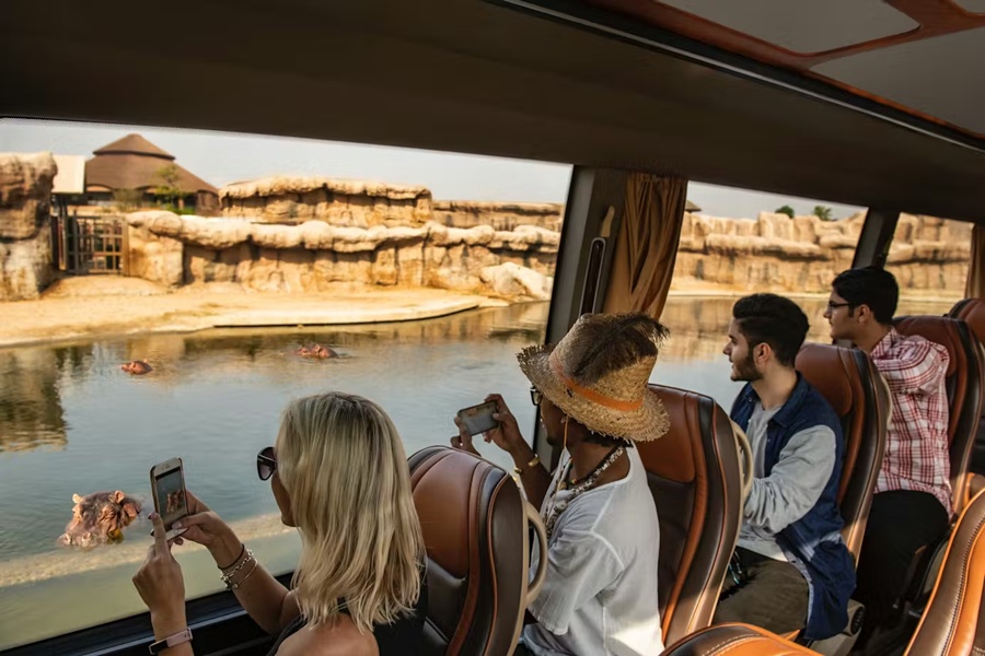 두바이 사파리 파크 입장권 & 사파리 투어