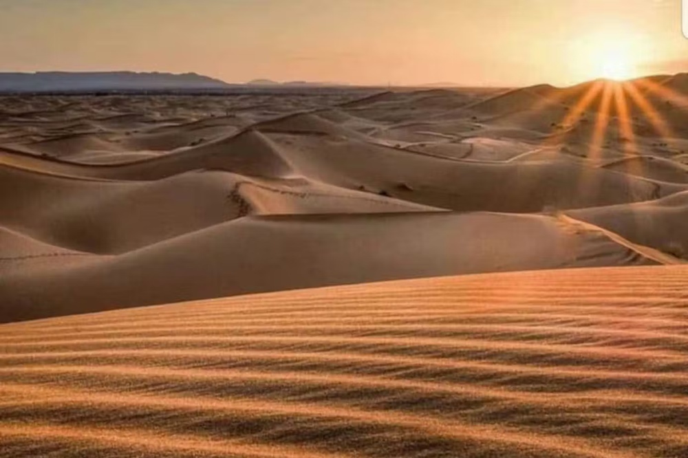 activity_detail_image