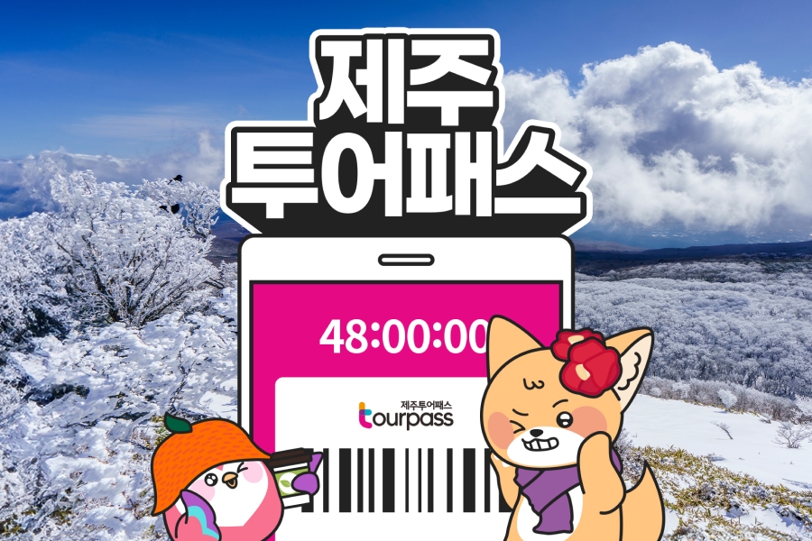 제주투어패스 프리패스 자유이용권