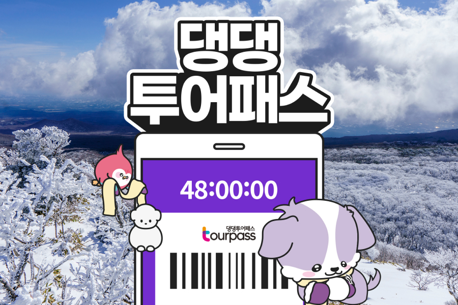 제주 댕댕투어패스 자유이용권 (24시간 / 48시간)