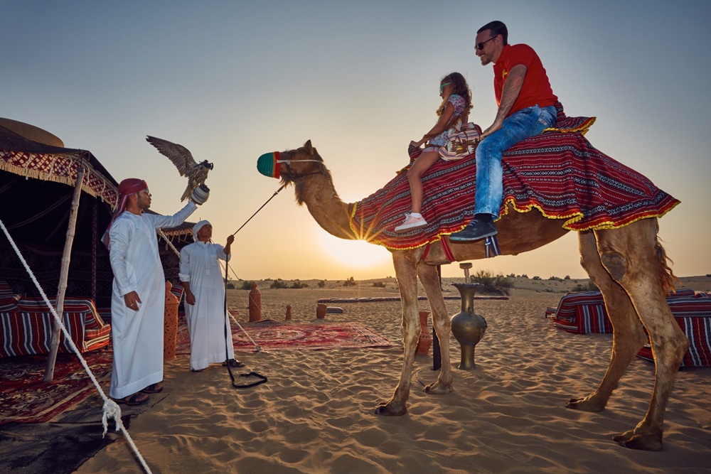 高シティ®ドバイハイライトパス